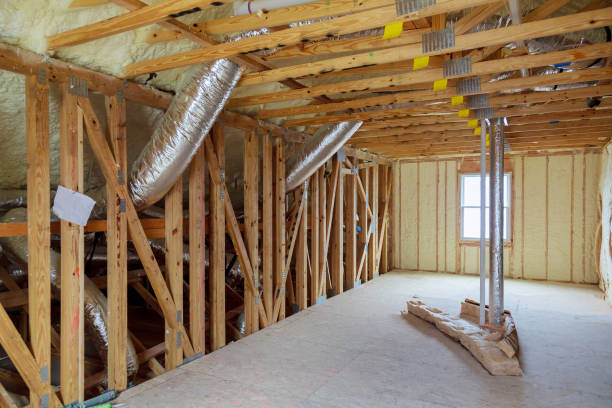 Best Cellulose Insulation in Lake Lorraine, FL