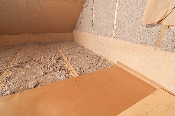 Best Insulation Maintenance and Repair in Lake Lorraine, FL